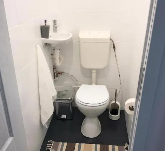 Apartament Joy Victoriei 7e-30 2 Timişoara