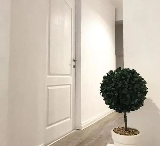 Joy Victoriei 7e-30 2 *