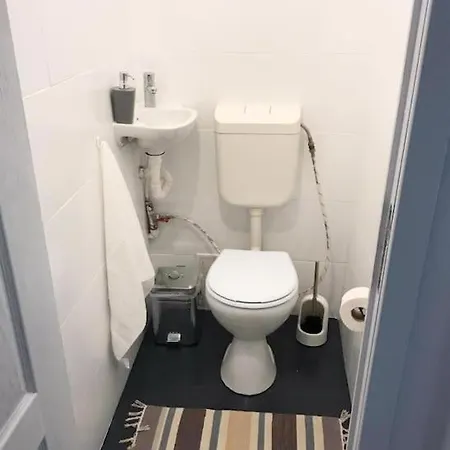 Appartement Joy Victoriei 7e-30 2 Timişoara