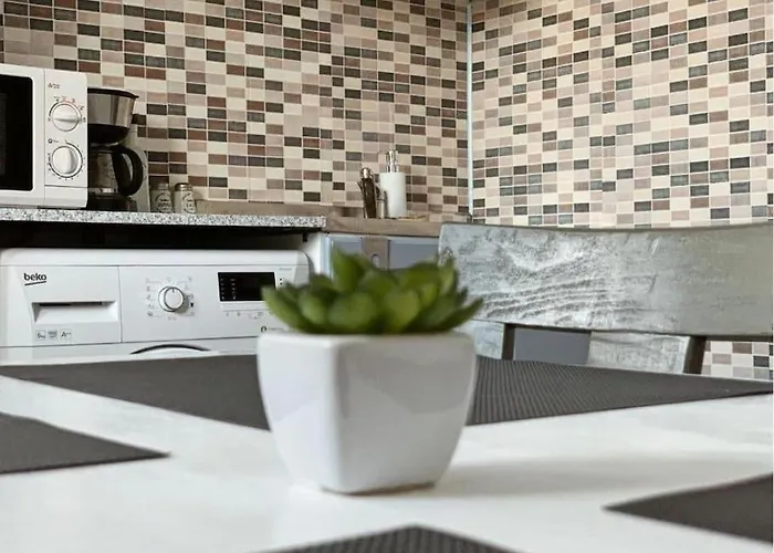 Joy Victoriei 7e-30 2 טימישוארה